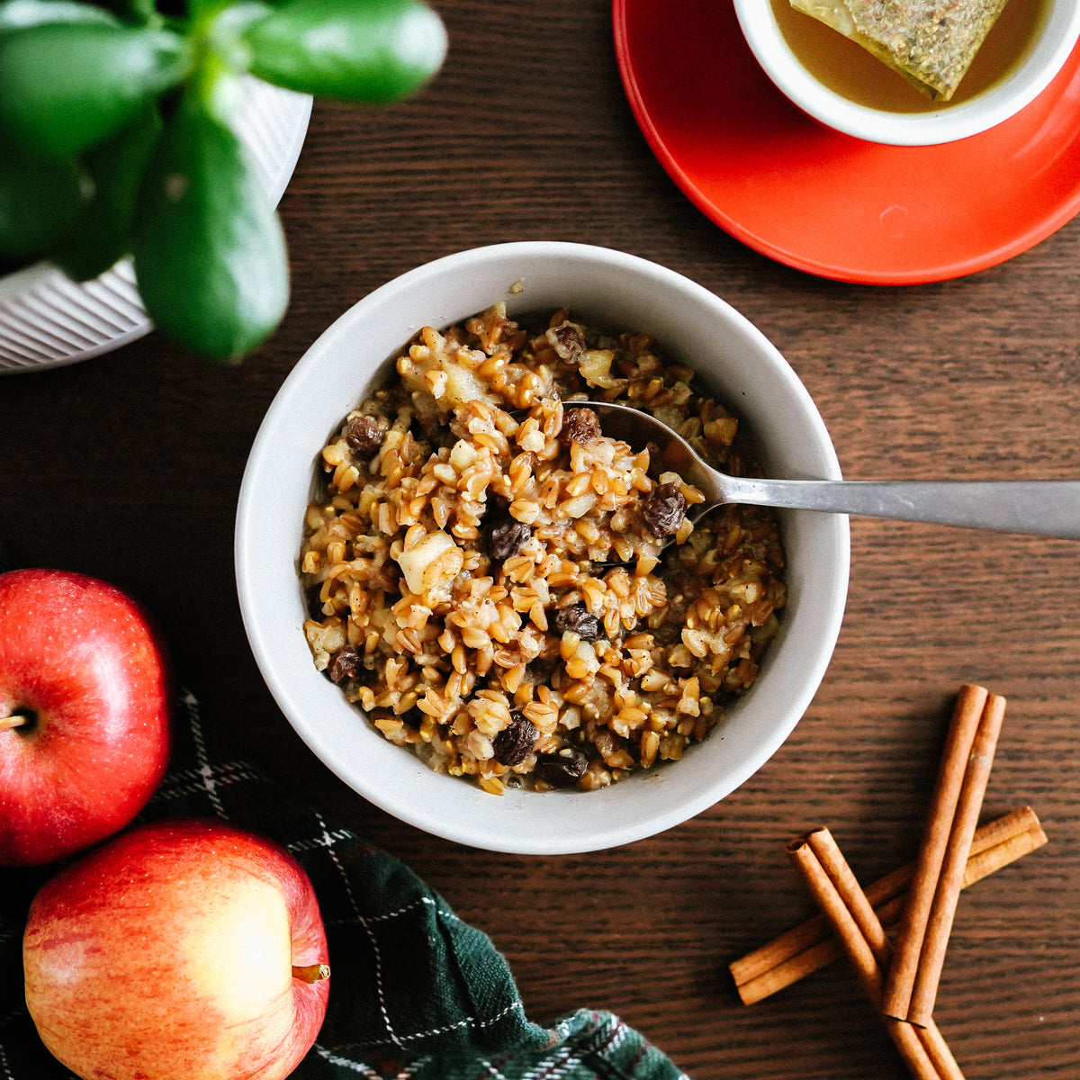 Wheat Berry Porridge – Almanac Grain