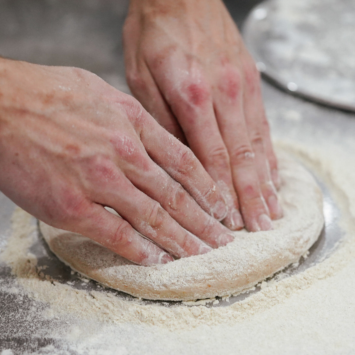 Frozen Sourdough Pizza Dough Almanac Grain