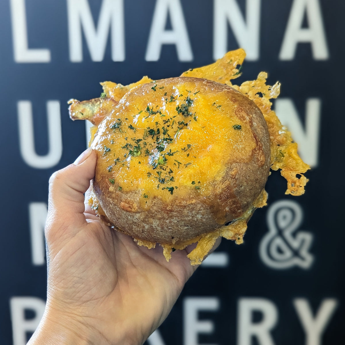 Brioche Egg Bun Almanac Grain