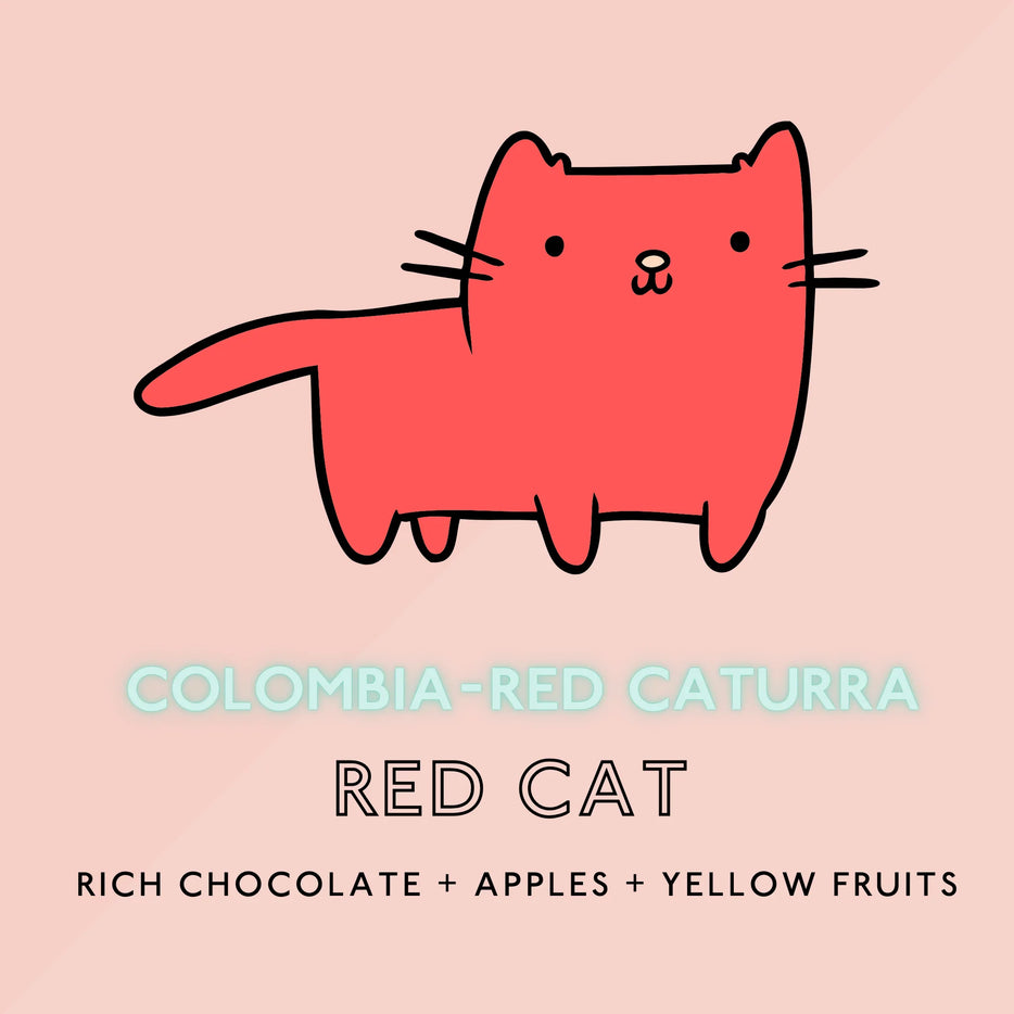 The Artery Community Roasters - Rwandan Red Cat Caturra