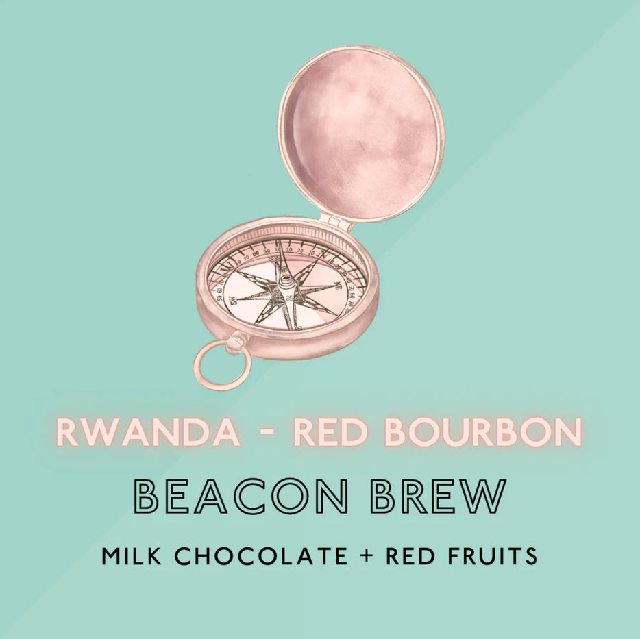 The Artery Community Roasters - Beacon Brew