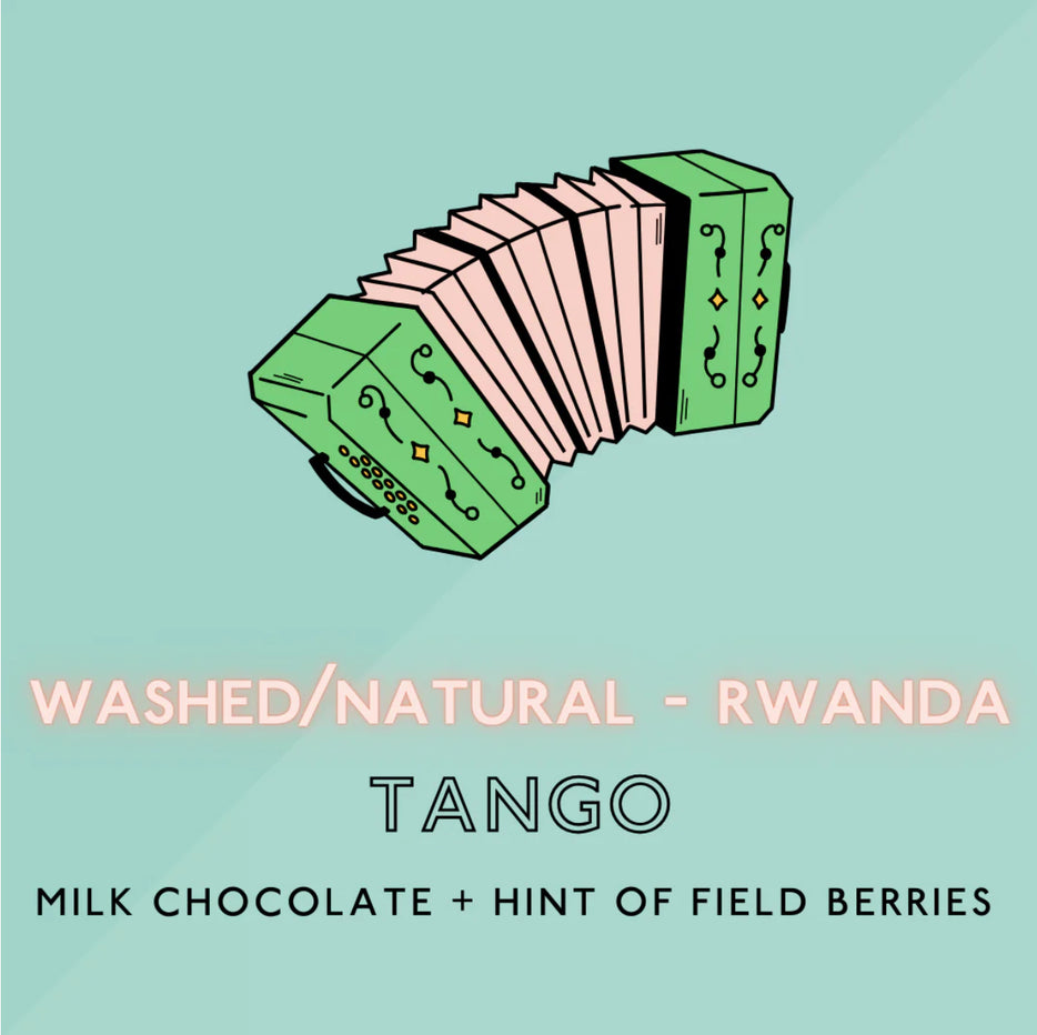 The Artery Community Roasters - Tango