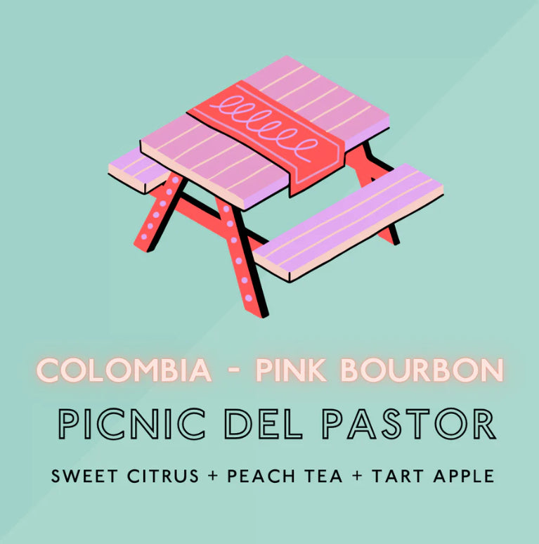 The Artery Community Roasters - Picnic Del Pastor