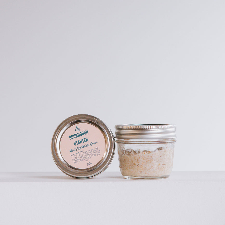 Sourdough Starter