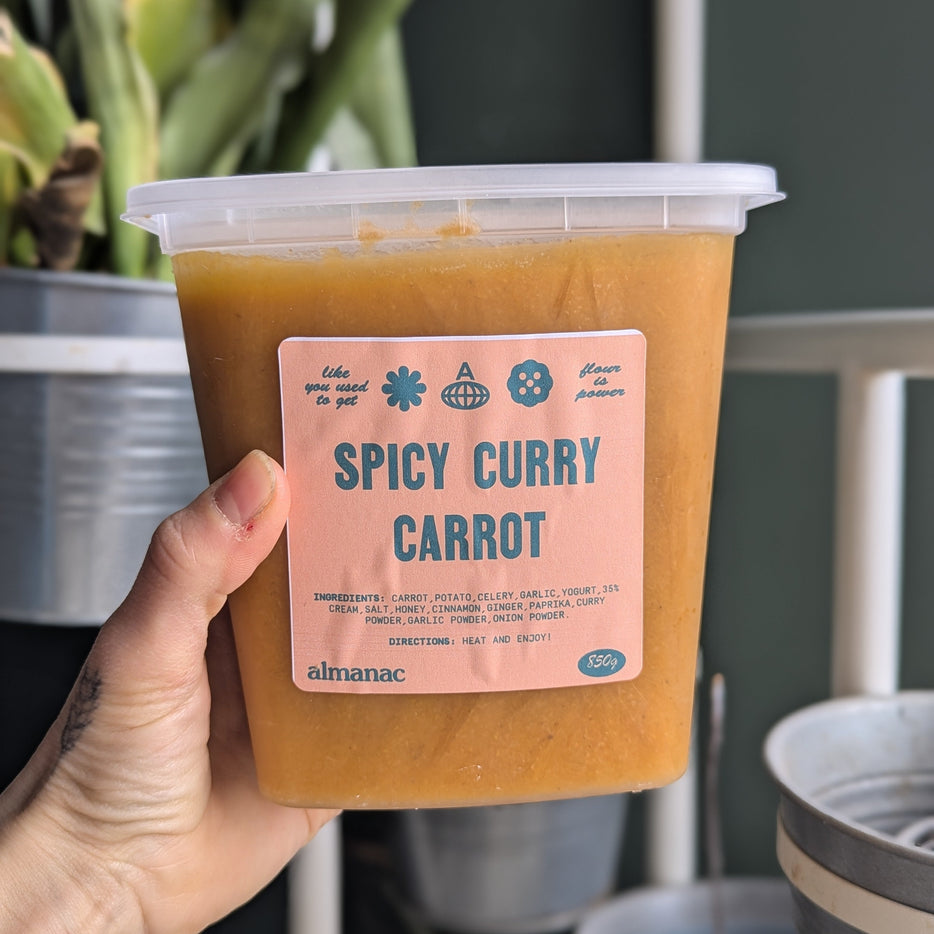 Frozen Spicy Curry Carrot Soup