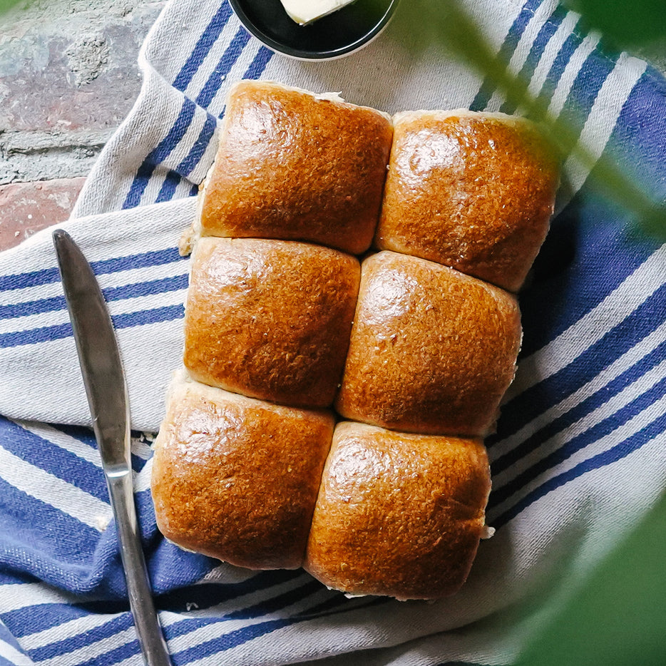 Sourdough Dinner Rolls