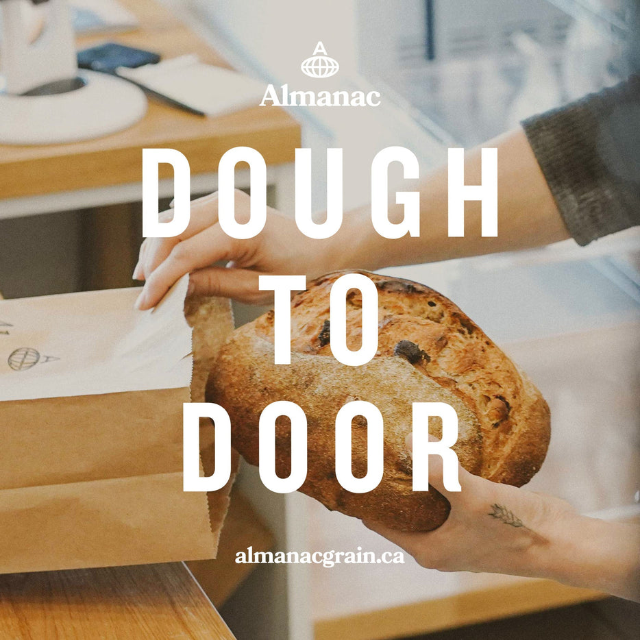 Almanac Bakery Subscription - January