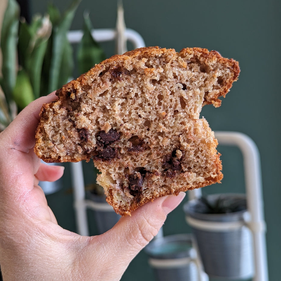 Banana Chocolate Chip Muffin